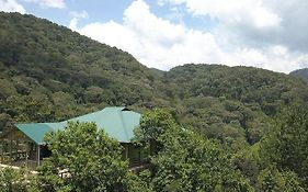 Gorilla Hills Eco-Lodge